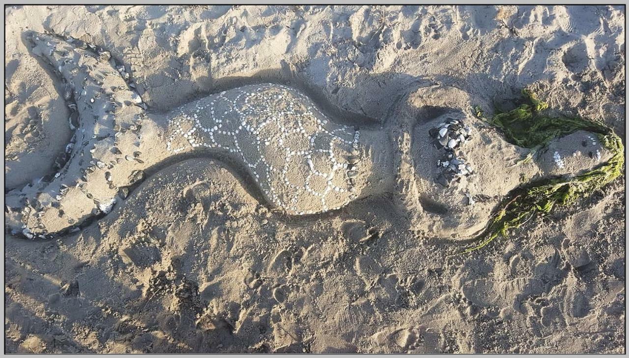Ddr Wohnwagen Qek Direkt Am Strand Dranske Dış mekan fotoğraf